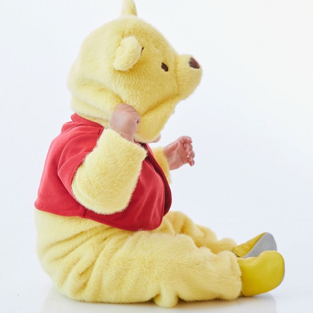 Pottery Barn Kids Pooh Costume